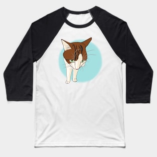 Soya the cat - grumpy Baseball T-Shirt